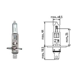 H1 - 12V - 55W - P14,5s - FIRE