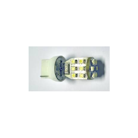 SMD LED - 12V - 18 n. LED - W3X16q - Bianco - 2 contatti - FIRE